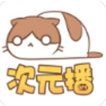 次元播