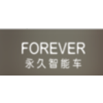 永久智能车